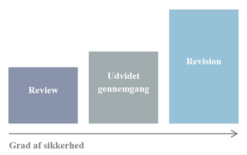 Review, udvidet gennemgang eller revision